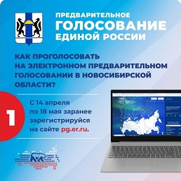 Предварительное голосование