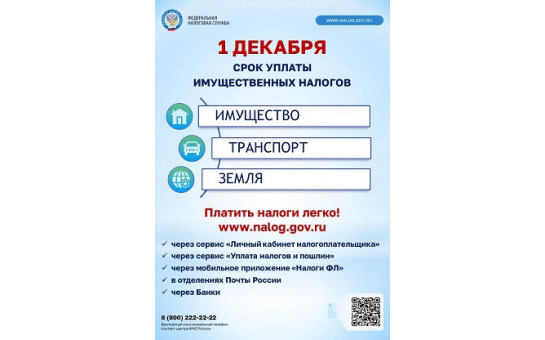 Уплата имущественных налогов